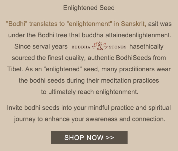 Bodhi means "enlightenment" in Sanskrit 🌼 Buddha Stones